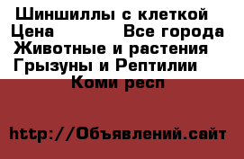 Шиншиллы с клеткой › Цена ­ 8 000 - Все города Животные и растения » Грызуны и Рептилии   . Коми респ.